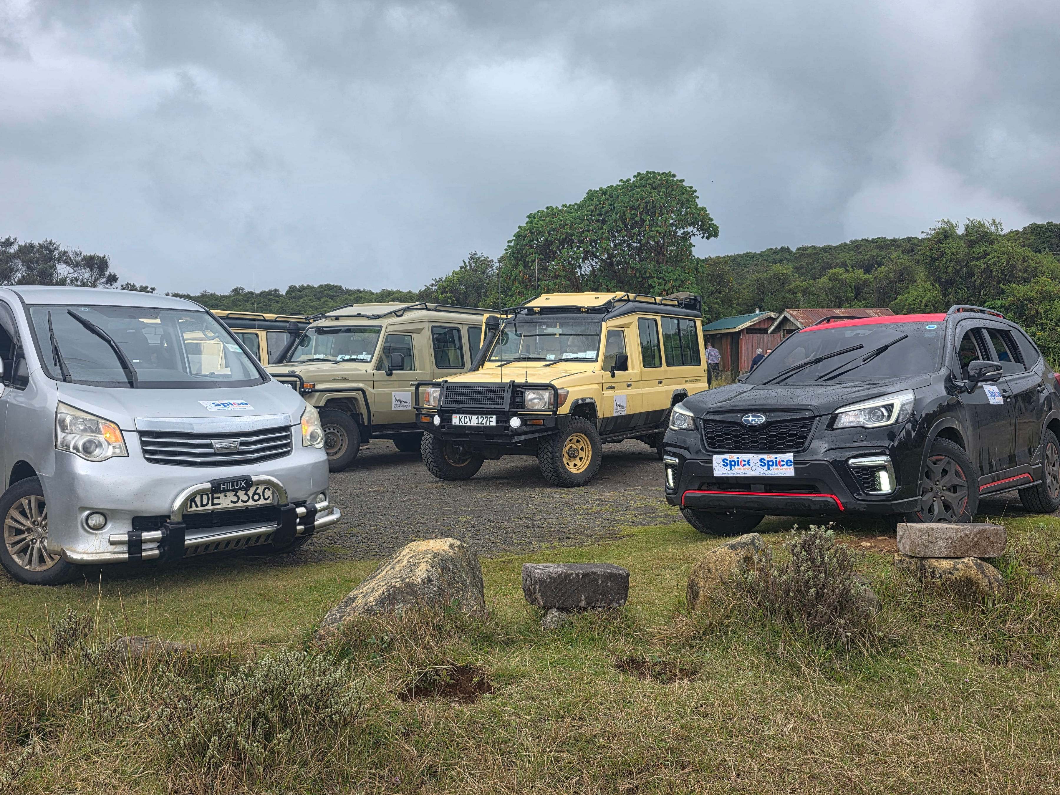 Wellness Experience 21